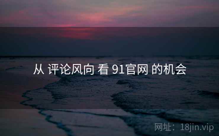 从 评论风向 看 91官网 的机会