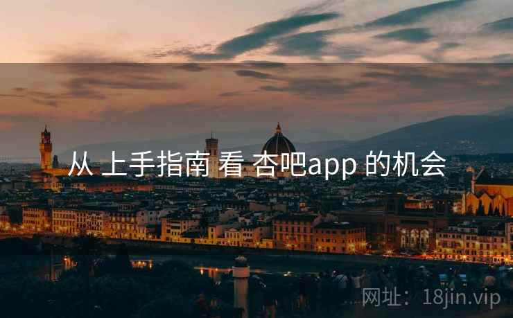 从 上手指南 看 杏吧app 的机会