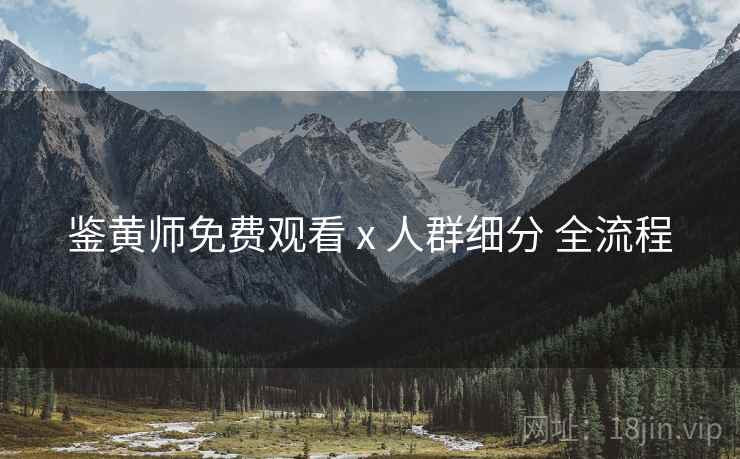 鉴黄师免费观看 x 人群细分 全流程